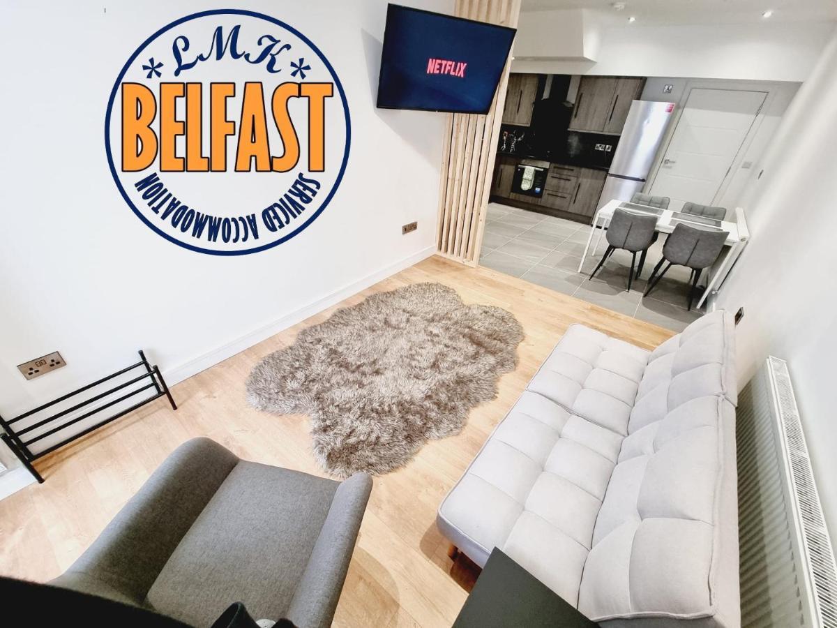 Lmk, Spacious 1 Bedroom Ground Floor Apartment, Ev Charger, Free Parking Wi-Fi, Great Location Belfast Extérieur photo